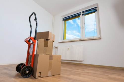 Packing support for a move in Edgware with labelled cartons